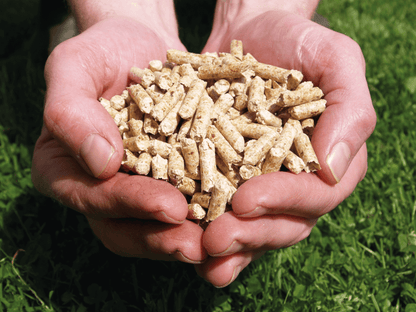 Wood Pellets - 15Kg