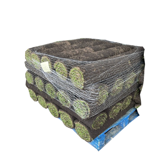 Quality Grass Turf - 10 Square Meters